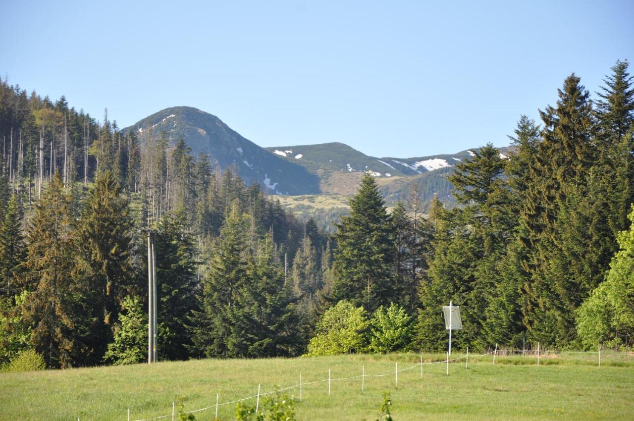 Apartamenty "U Blizniakow" Zakopane Exterior photo