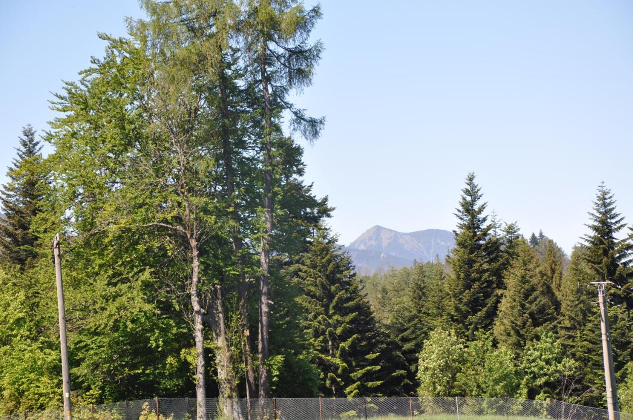 Apartamenty "U Blizniakow" Zakopane Exterior photo