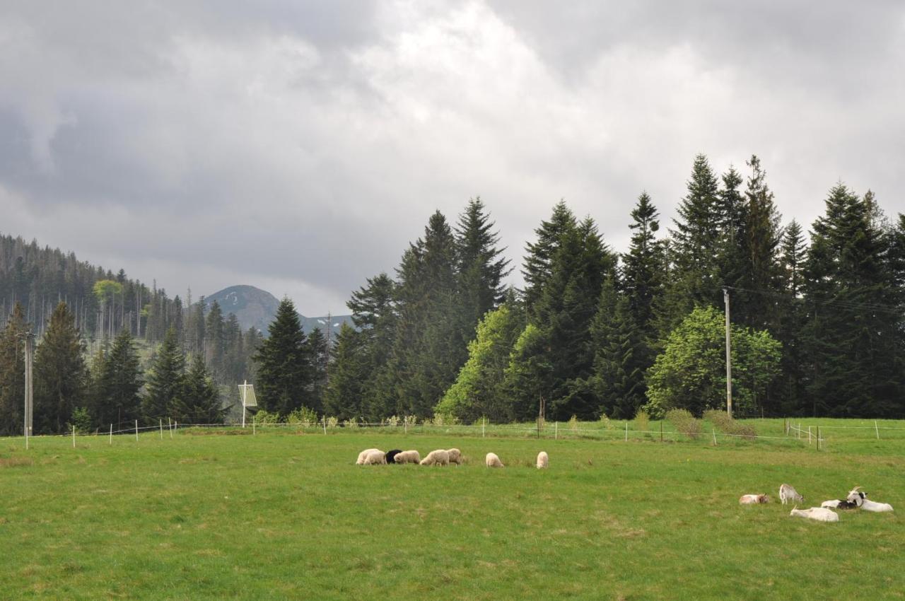 Apartamenty "U Blizniakow" Zakopane Exterior photo